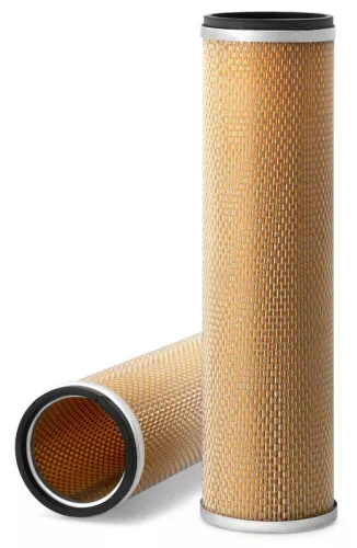 Secondary Air Filter