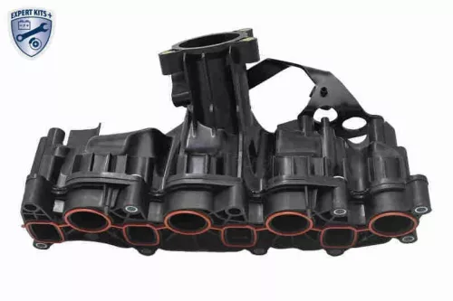 Intake Manifold Module