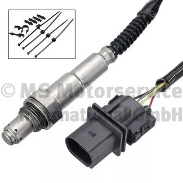 Oxygen Sensor