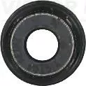 Seal Ring, valve stem
