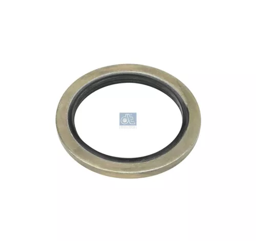 Seal Ring, radiator cap bolt