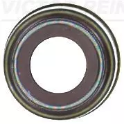 Seal Ring, valve stem