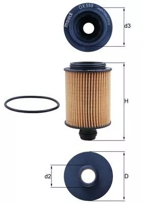 Oil Filter