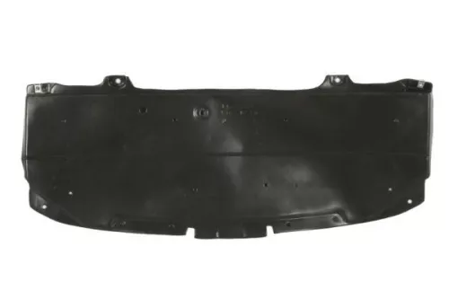 Engine Guard/Skid Plate