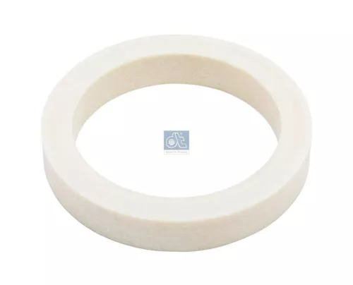 Seal Ring, steering knuckle