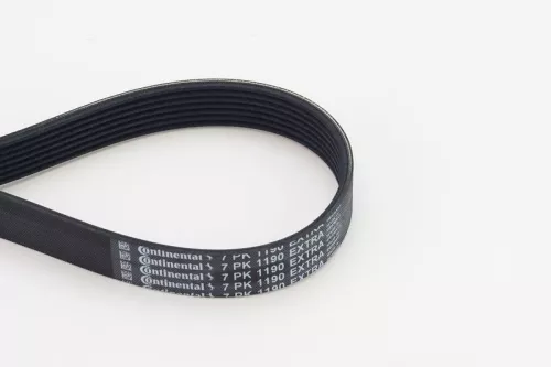 V-ribbed Belt