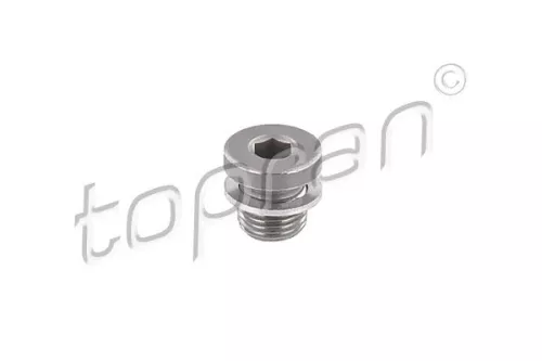 Screw Plug, automatic transmission casing