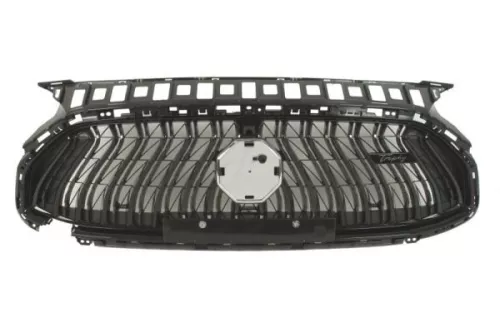 Radiator Grille