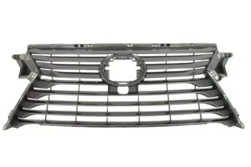 Radiator Grille