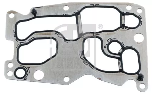 Gasket, oil cooler