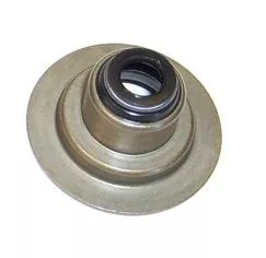 Seal Ring, valve stem