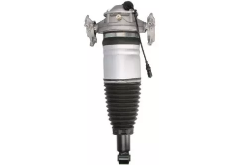 Air Suspension Strut