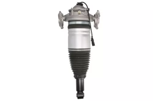 Air Suspension Strut