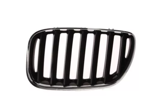 Radiator Grille