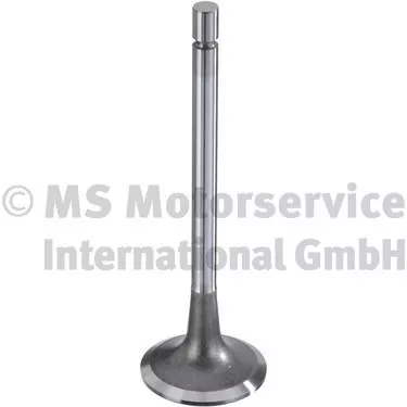 Intake Valve