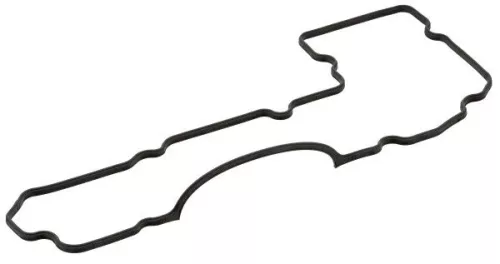 Gasket, timing case cover