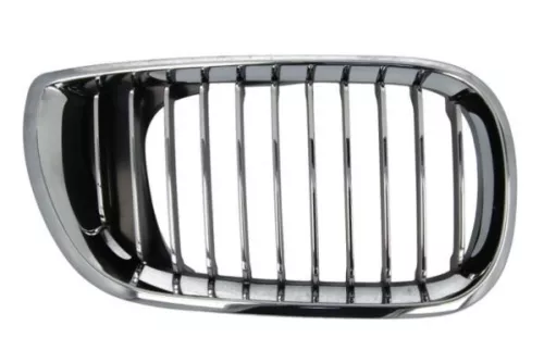Radiator Grille