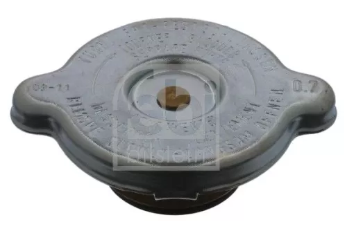 Cap, coolant tank