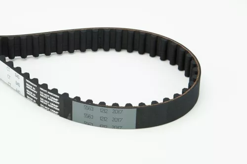 Timing Belt